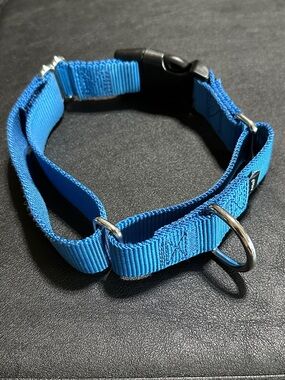 Petsafe Large Blue Nylon New Dog Collar